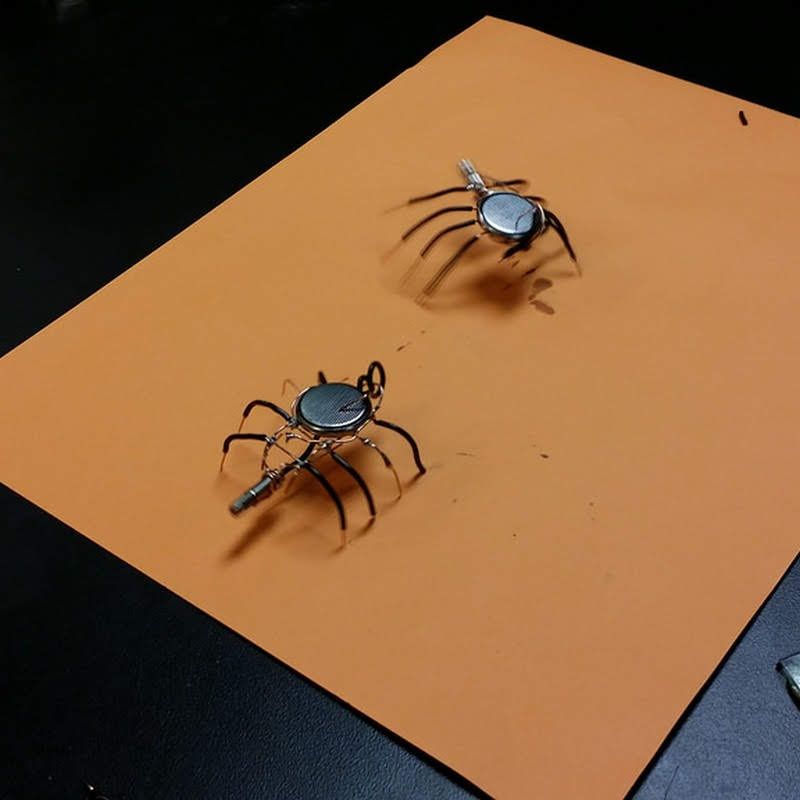 Students making bug bots